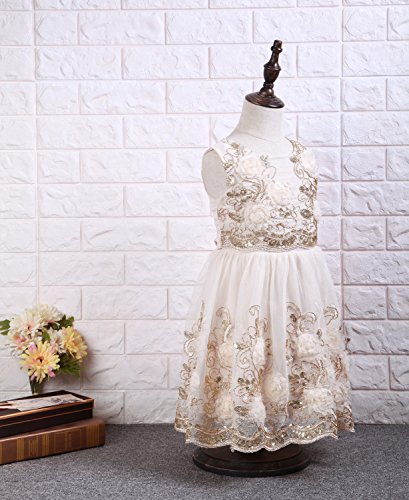 Ruffles Lace Bow Flower Tulle Princess Formal Wedding Birthday Party Dress for Toddler Baby Girl (5-6 Years, Champagne 3D)