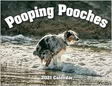 2021 2022 calendar gift terrier chiwawa funny 2021 Pooping Pooches White Elephant Gag Gift Calendar Gag Gifts For Good Causes 0757347450585 Amazon Com Books 2021 2022 calendar gift terrier chiwawa funny