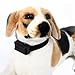 Electronic Anti-Bark Dog Training Shock Collar No Bark
