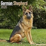 German Shepherd Calendar - Dog Breed Calendars - 2019 - 2020 Wall Calendars - 16 Month by Avonside ( by 