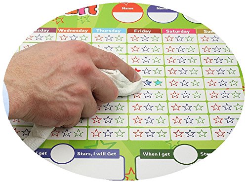 1 Magnetic+Behavior+Multiple+Toddlers+Responsibility