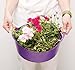 Tubtrugs SP5G Flexible Green Extra Small 5 Liter/ 1.3 Gallon Capacity