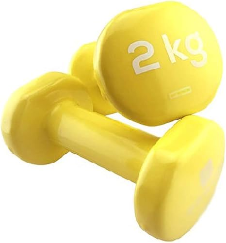 Mancuernas Fitness y ejercicio Mancuernas 2pcs Mini Pesas for ...
