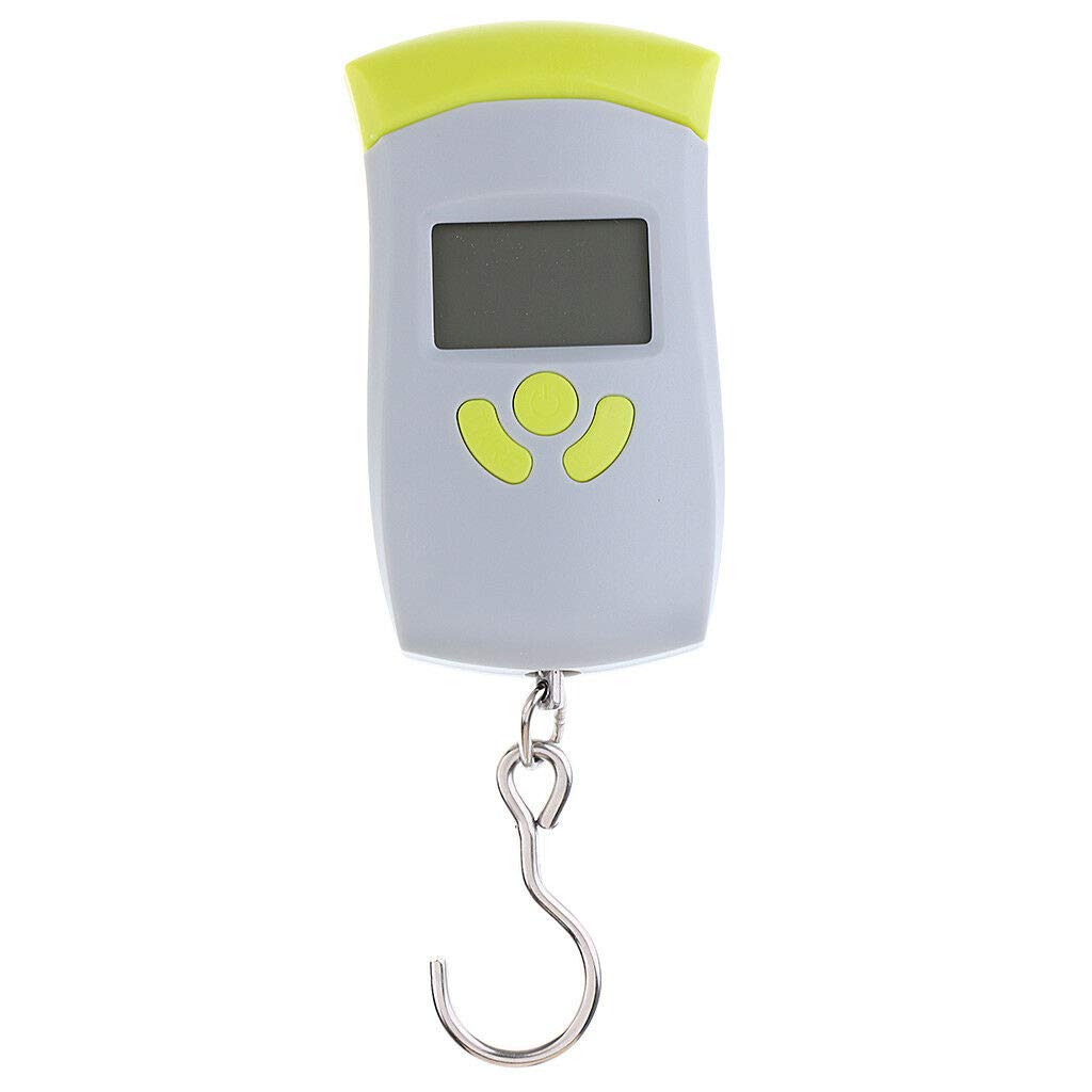 digital luggage scale big w