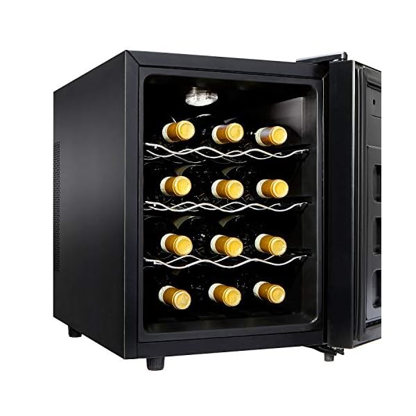 Wine-Enthusiast-12-Bottle-Compact-Wine-Cooler