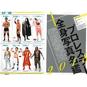 2018 Weekly pro wrestling magazine extra Wresters Encyclopedia Profile NJP