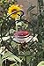 Best Hummingbird Feeder Stand - Easy-to-Use & Plants in Ground - Universal-Fit & Beautiful to See in Your Backyard or Garden