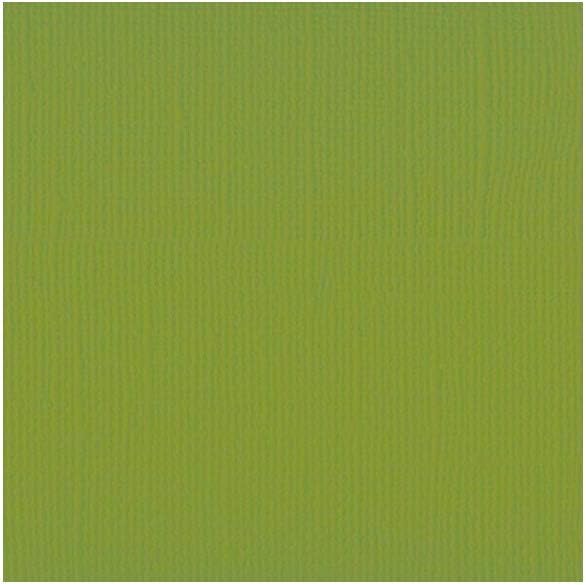 Florence Cardstock Textured - Coloured Card Making Supplies 12 x 12 inch - Green - 20 Sheets - Coloured Paper for Scrapbooking, Card Making, Die Cutting and Paper Crafts - 216 GSM - Fern