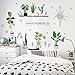 Cartoon Cactus Green Plants Leaves Pastoral Style Wall Stickers Wall Decal Vinyl Removable Art Wall Decals for Bedroom Living Room Nursery Room Children's Bedroom