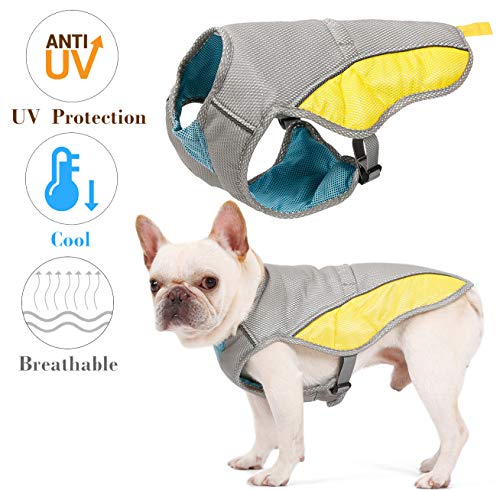 kismaple dog harness