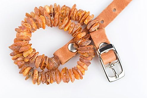 Baltic Amber Collar for Dogs and Cats. The Power from The Nature Best Natural Protection for Your Lovely Pet 100% Natural Raw Amber Collar with Adjustable Brown Leather Strap