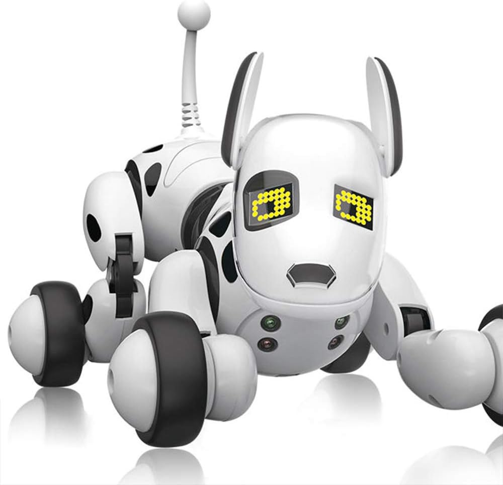 robot dog dance