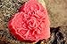 Moldiy Heart Shape Silicone Soap Making Art Clay Craft Mold with Delicate Floral Pattern