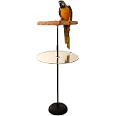 Parrot Training Perch Stand with Potty Tray (T Perch, Medium)