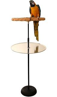 floor standing bird perch
