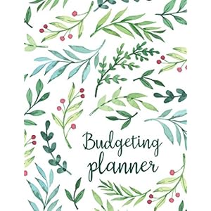 Budgeting Planner: Expense Finance Budget By A Year Monthly Weekly & Daily Bill Budgeting Planner And Organizer Tracker…