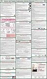 2017 (SPANISH) Illinois State and Federal Labor Law Poster - Laminated 24