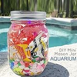 AriesTech Mason Jar Aquarium with LED Light DIY Your Own Customized Mini Sea in Jar with Sea Creatures, Great Science Kits Educational Toys Crafts for Kids, Boys,Girls, Children
