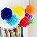 Bobee Rainbow Party Decorations 42 Piece Rainbow DIY Pom Poms and Tassel Garland
