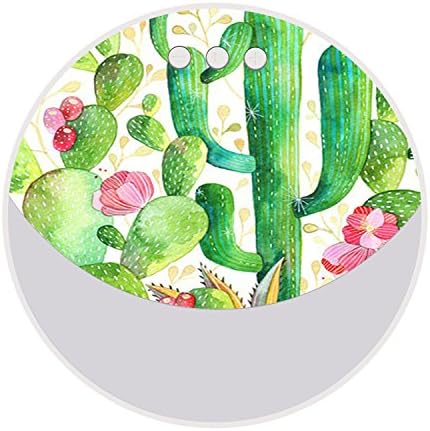 Portable Wireless Bluetooth Speaker, Customized Powerful Volume, Enhanced Bass Wireless Speaker for iPhone, iPad, Android and Smartphone, Good Gift for Freinds and Partners - Cactus