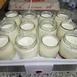 Leogreen - Yogurtera, Maquina para Hacer Yogur Casero, 7 tarros ...