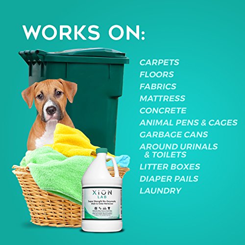 XIONLAB Super Strength Enzyme Cleaner Urine Remover and Pet Odor