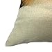 YOUR SMILE Cute Animal Square Decorative Throw Pillows Case Cushion Covers Shell Cotton Linen Blend 18 X 18 Inches (Fox)