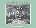 Inside Texas: Culture, Identity and Houses, 1878-1920 by Cynthia A. Brandimarte