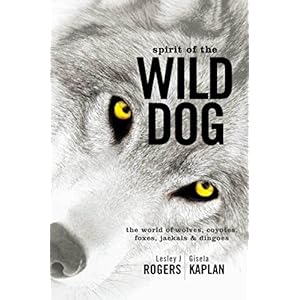 Spirit of the Wild Dog: The World of Wolves, Coyotes, Foxes, Jackals and Dingoes