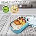 Leakproof Stainless Steel Thermal Bento Lunch Box-Divided Lunch Container & Insulated Bag:Eco Friendly Portable,Lightweight and Suitable for School, Work, Kids, Adults, Men, Women Green)