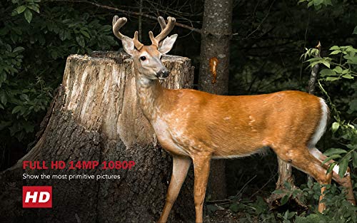 Usogood Trail Camera with 32GB SD Card 1080P Game Camera with Night Vision Motion Activated Waterproof 2.4" LCD Screen for Outdoor Wildlife Monitoring, Garden, Home Security Surveillance