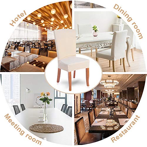 SearchI 6 Pack Fit Stretch Soft Velvet Dining Chair Covers Slipcover Protector, Removable Washable Fabric Short Chair Cover for Dining Room, Hotel, Ceremony (Creme, 6)