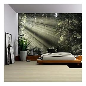 Sun Light Shining Through The Trees. Carpathians Wood, Ukraine. - Removable Wall Mural | Self-Adhesive Large Wallpaper - 66x96 inches