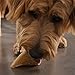 Pawstruck Natural Cow Hooves for Dogs - Made in The USA Long Lasting Beef Hoof Dental Treat Chews - No Artificial Preservatives - 25 Count - Packaging May Vary