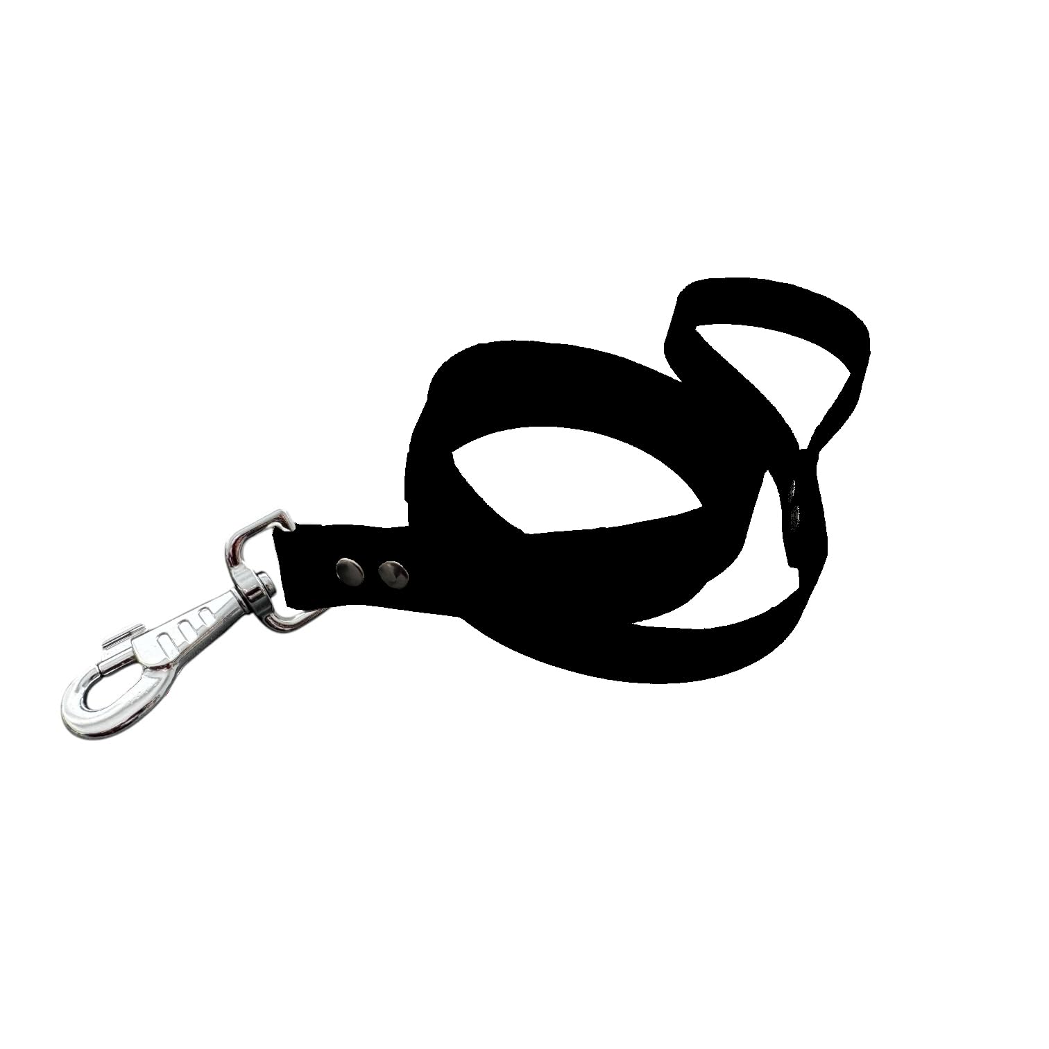 L'Atelier du Fourmilier Dog Leash in BioThane material, Width 25 mm (Black)