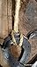 Intertwined Horseshoe Hearts - hanging wall or decor