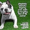 Pro-Kleen Artificial Grass Cleaner for Dogs and Pet Friendly Cruelty Free Disinfectant with Deodoriser 4 in 1 (10:1…