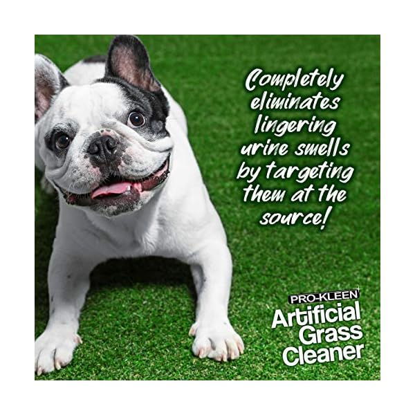 Pro-Kleen Artificial Grass Cleaner for Dogs and Pet Friendly Cruelty Free Disinfectant with Deodoriser 4 in 1 (10:1…