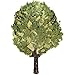 Birch Bath Broom Russian Banya Venik for Sauna