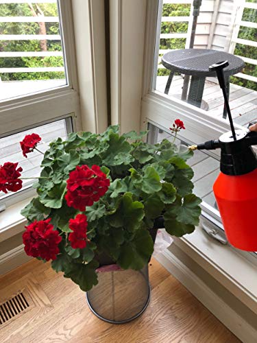 3 Polyte+Pressure+Sprayer+Garden+Control