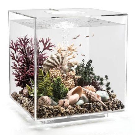biOrb Cube 60 Aquarium with LED – 16 Gallon, Transparent