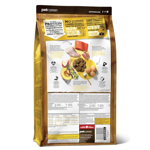 NOW FRESH GRAIN-FREE SMALL BREED DRY PUPPY FOOD WITH TURKEY, SALMON & DUCK, HEALTHY KIBBLE FOR GROWING DOGS WITH REAL POULTRY & FISH, CHICKEN-FREE, PUMPKIN & PROBIOTICS FOR GOOD DIGESTION, 3.5 LB BAG