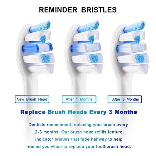 image for Sonicolor Sonicare Replacement Brush Heads for Philips Sonic Toothbrus