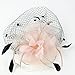 FAYBOX Elegant Silk Flower Feather Dot Net Fascinator Hat Hair Clip BlushPink