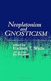 Neoplatonism and Gnosticism (Studies in Neoplatonism)