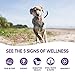 Wellness Complete Health Natural Wet Canned Dog Food, Lamb & Sweet Potato, 12.5-Ounce Can (Pack of 12)