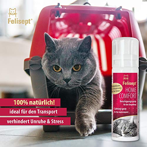 Felisept Home Comfort Kalmerende Spray 100ml - Anti-Stress Voor Kat Op De Weg En Thuis - Met Natuurlijke Catnip… - Afbeelding 4
