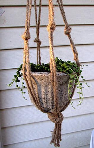 Hanging String of Pearls Plant Macrame