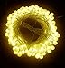 100 LED 38Ft/12m Globe Ball Outdoor / Indoor Led String Lights with Safety 31V transformer US Plug,Color Warm White(IP44 Waterproof)