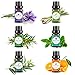 Vena Beauty 100% Pure Aromatherapy Essential Oil Set of 6, Therapeutic Grade